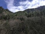 高山山林风光