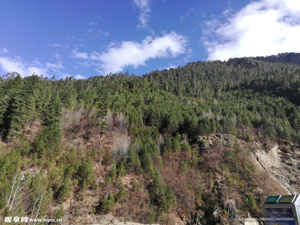 蓝天白云大山松树风景