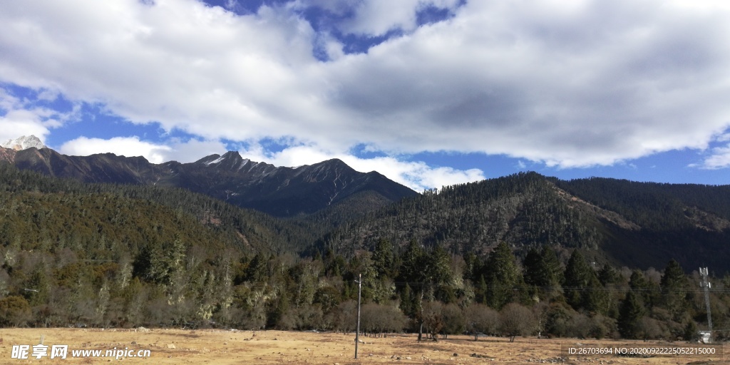 蓝天白云大山松林风景