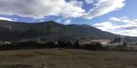 大山牧场草地风景