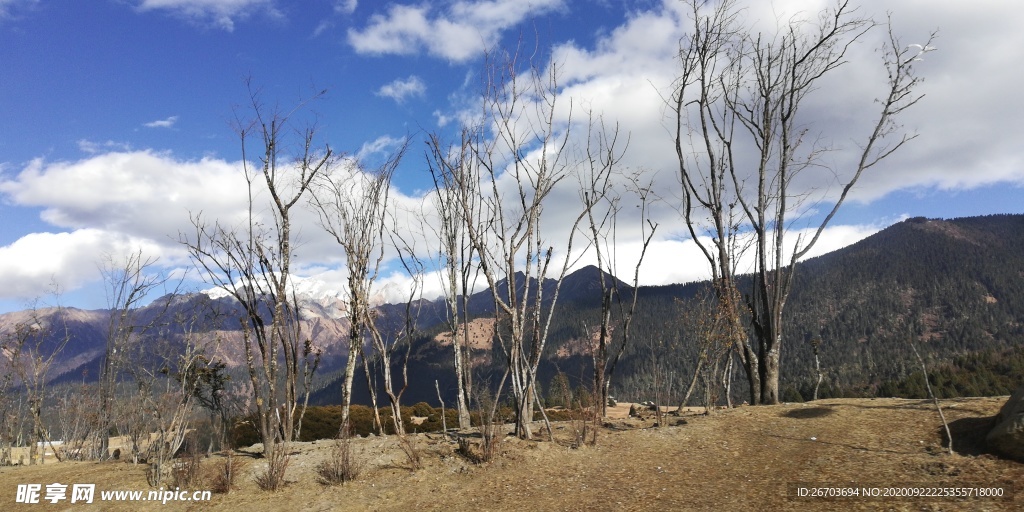 蓝天白云高山树木风景