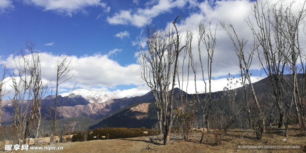 蓝天白云高山树木风景