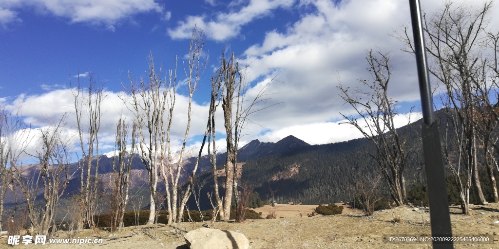 蓝天白云大山树木风景