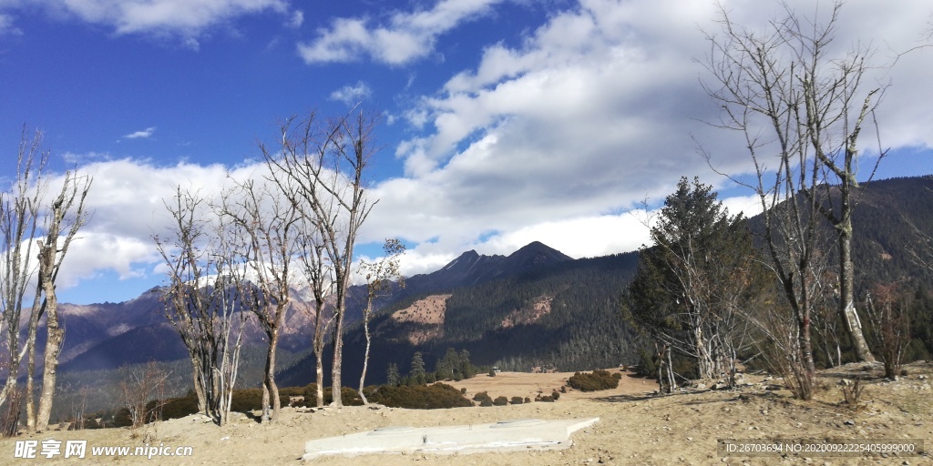 蓝天大山树木风光