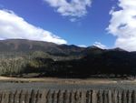 大山荒野