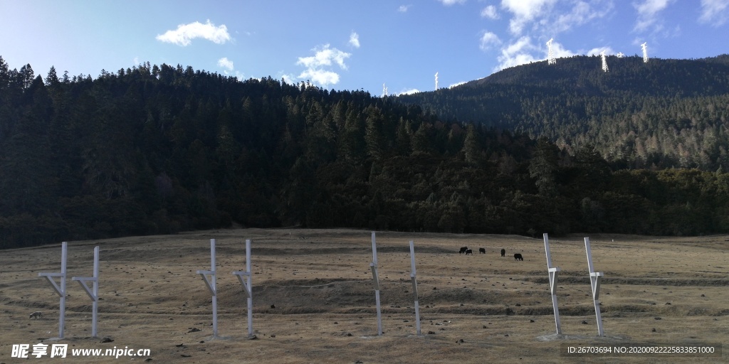 大山荒地风景