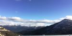 雪松云海风光