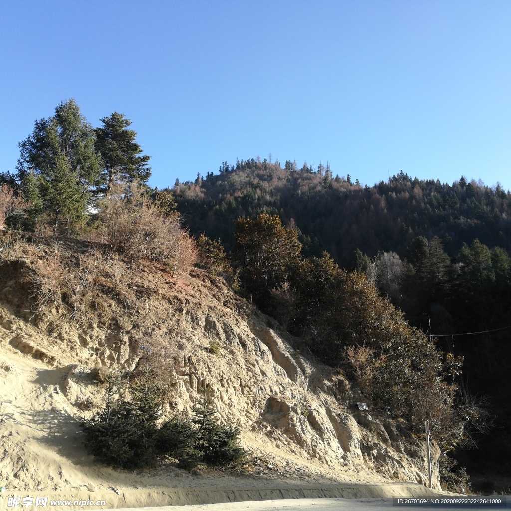 大山树木风景