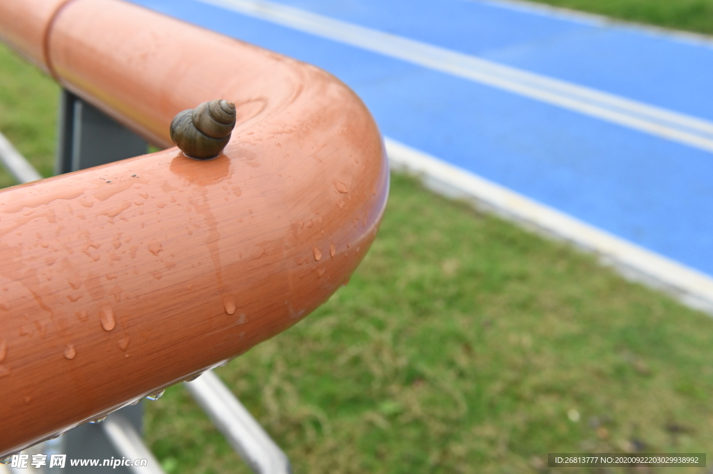 护栏上的蜗牛