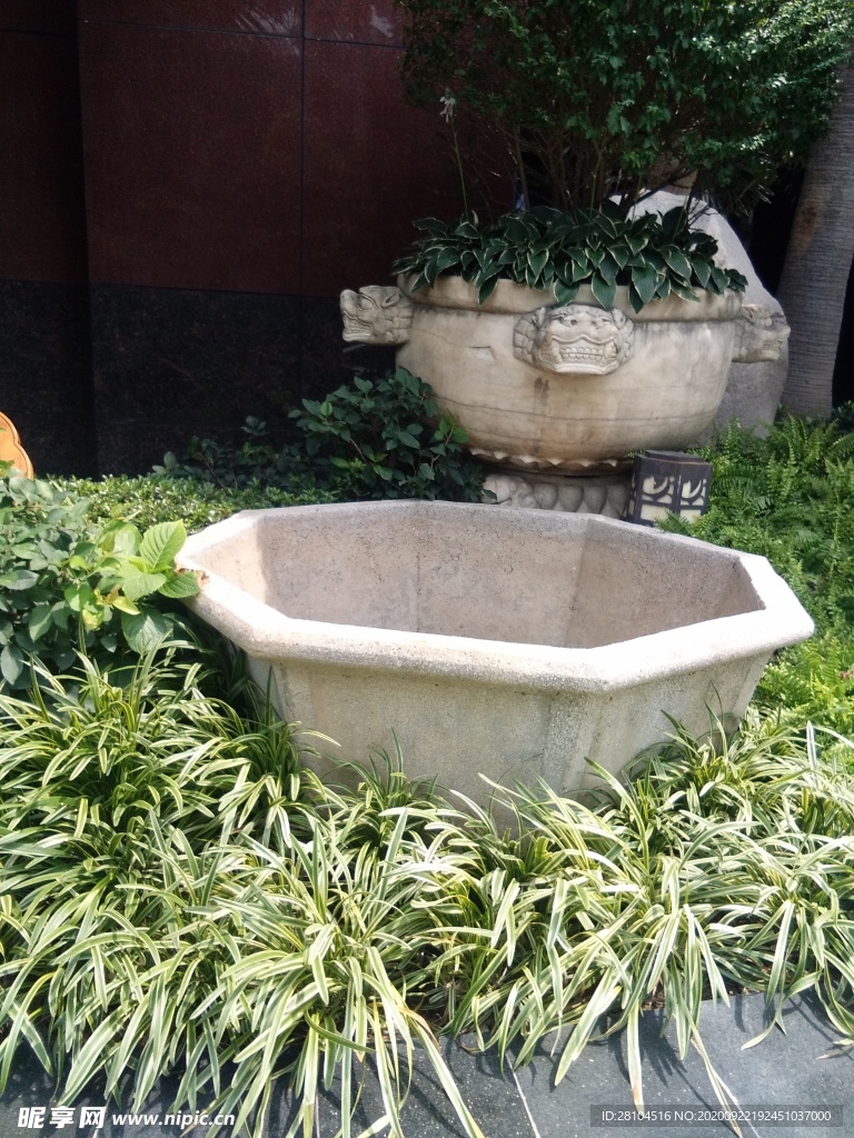 花坛
