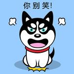 哈士奇