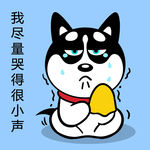 哈士奇