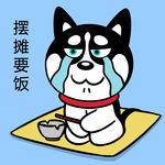 哈士奇