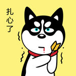 哈士奇 柴犬 dog 狗 卡通