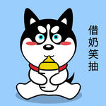 哈士奇
