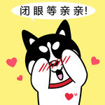 哈士奇 柴犬 dog 狗 卡通