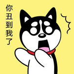 哈士奇