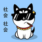 哈士奇 柴犬 dog 狗 卡通