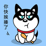 哈士奇