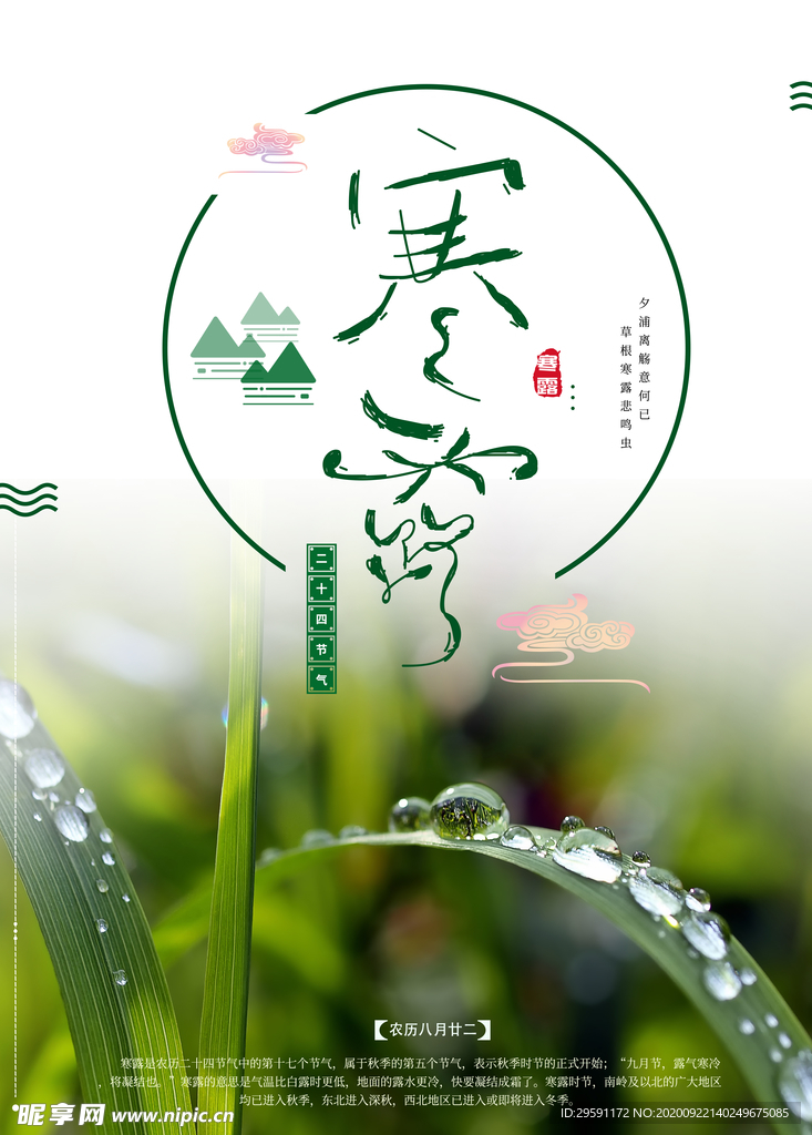 寒露节气海报