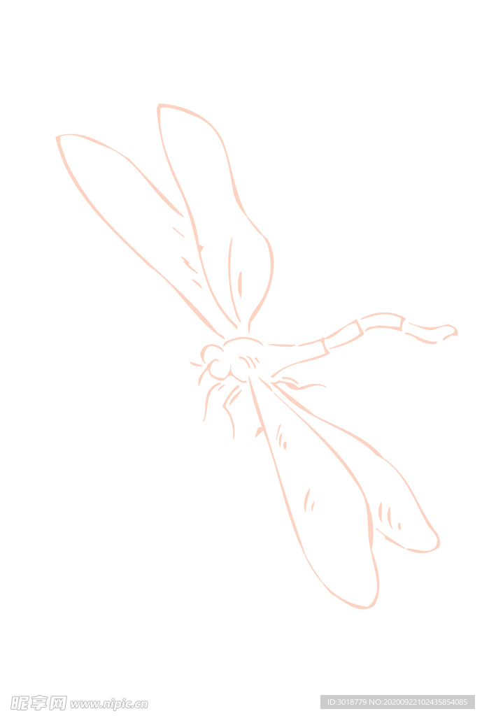 蜻蜓