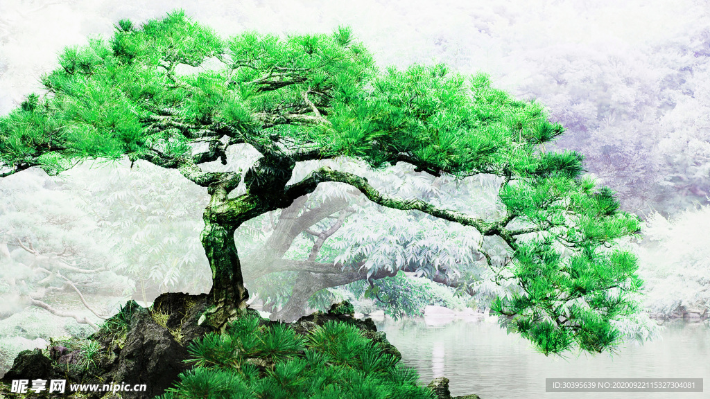 风景