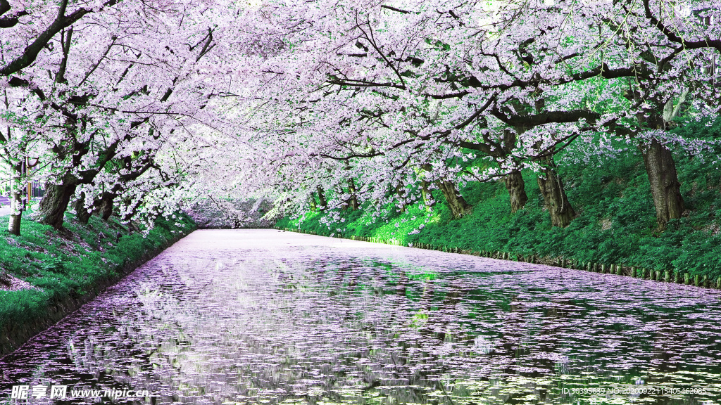 风景