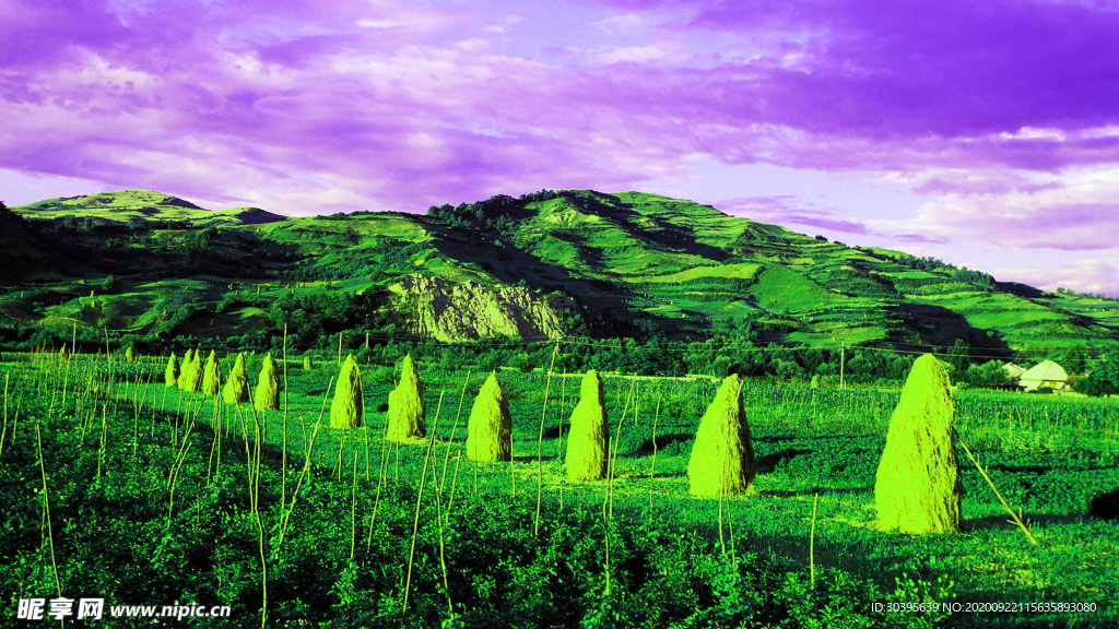 风景