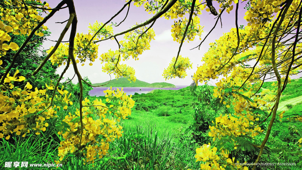 风景