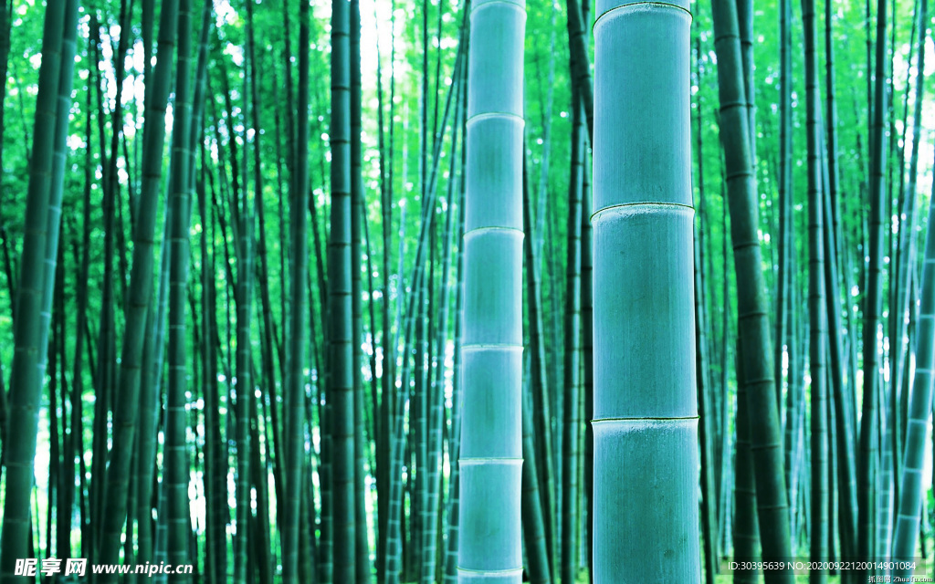 风景