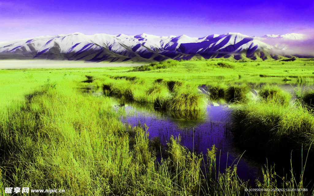 风景