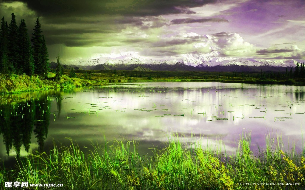 风景