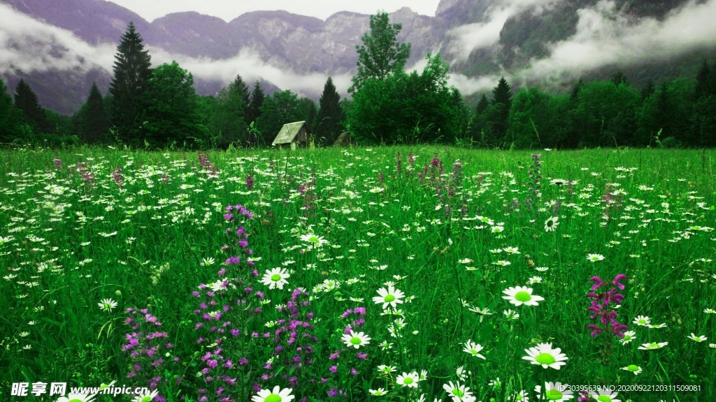 风景