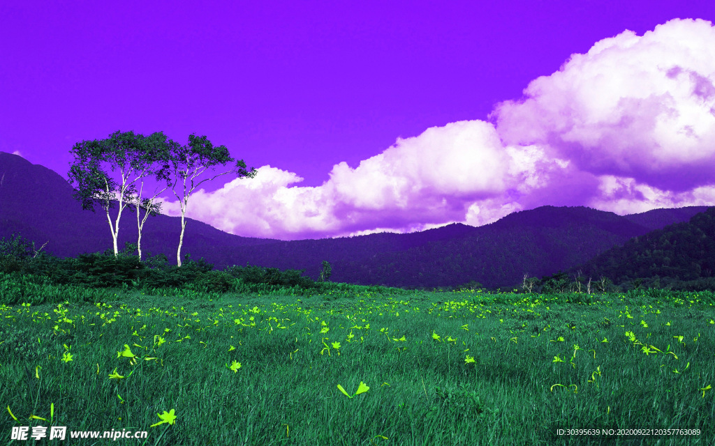 风景