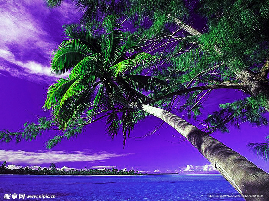 风景