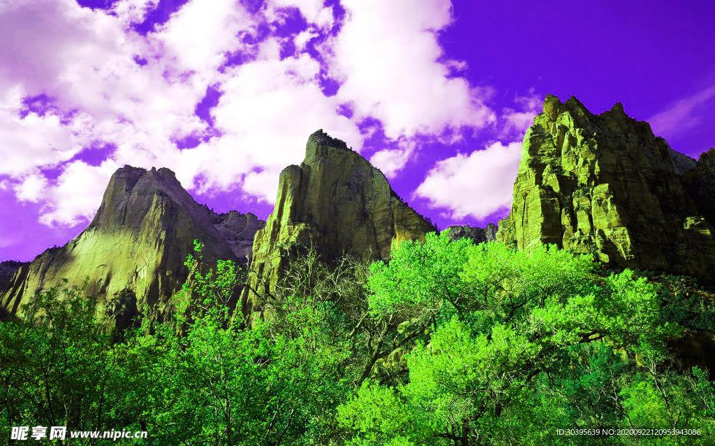 风景