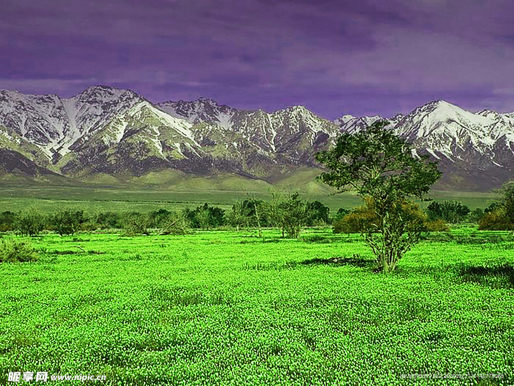 风景