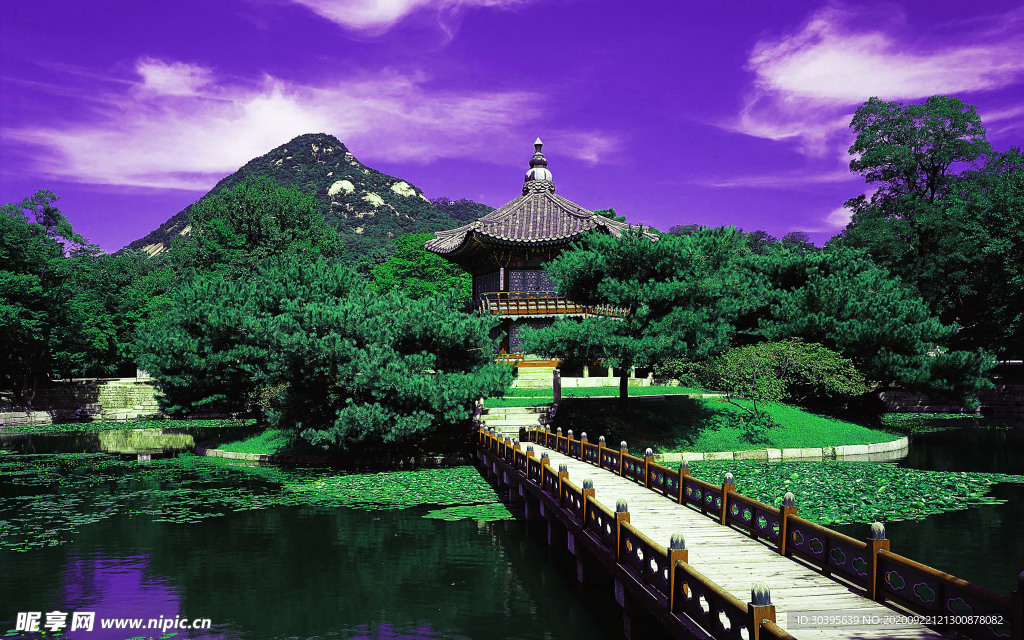 风景