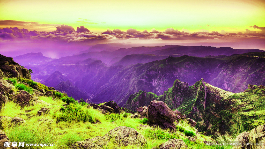 风景