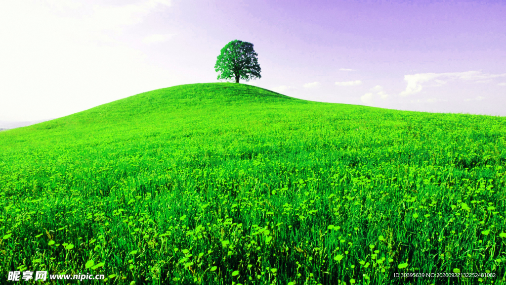 风景