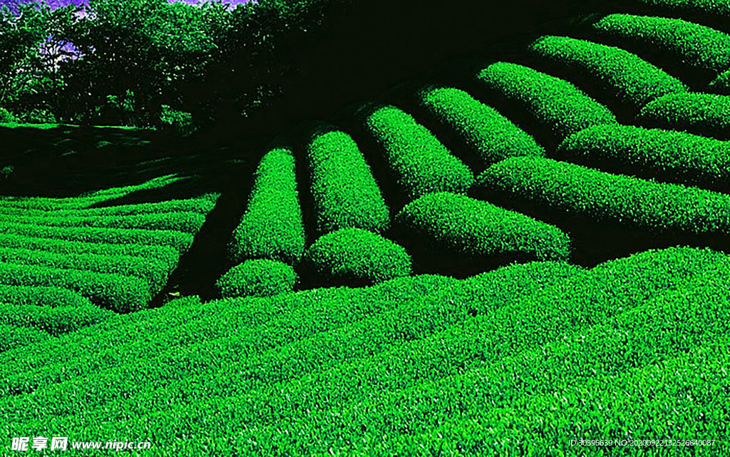 风景