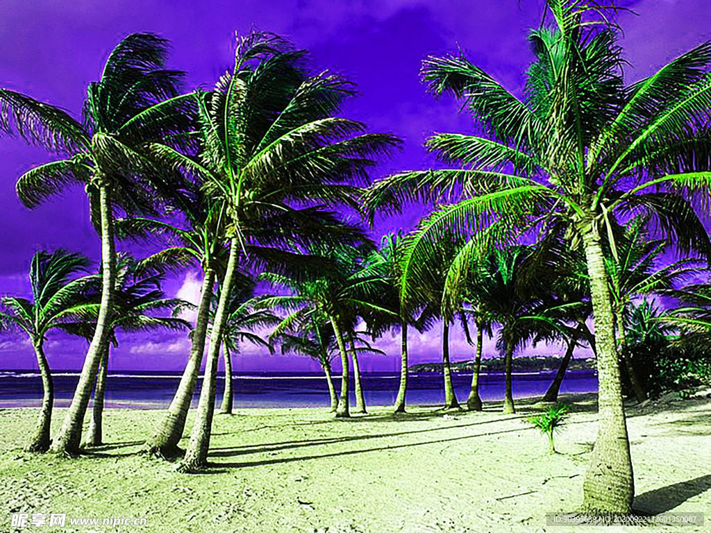 风景