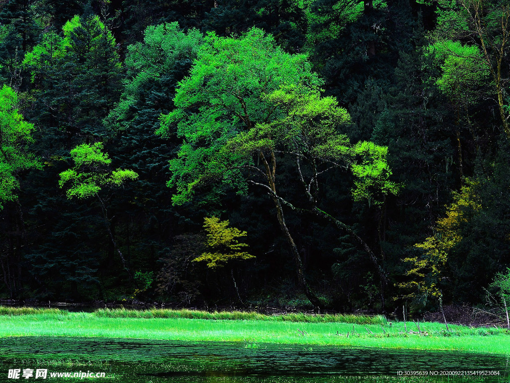 风景