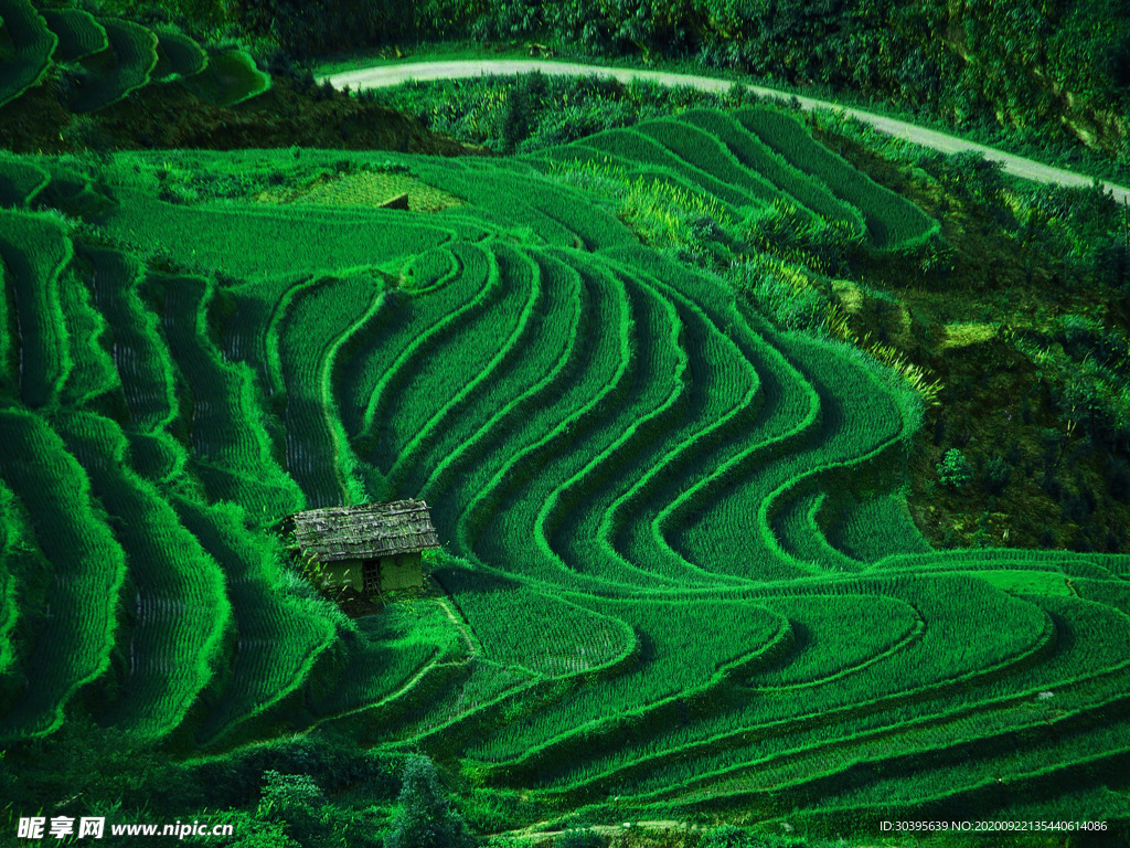 风景