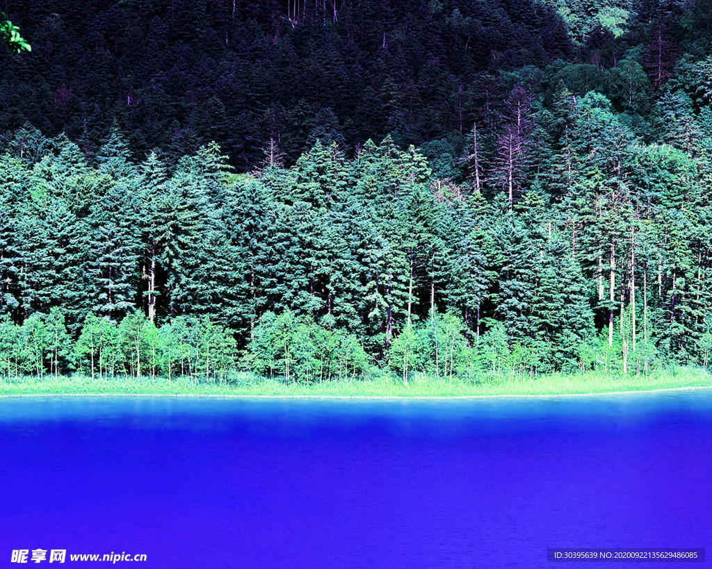 风景