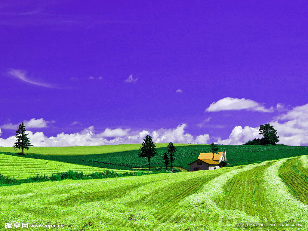 风景