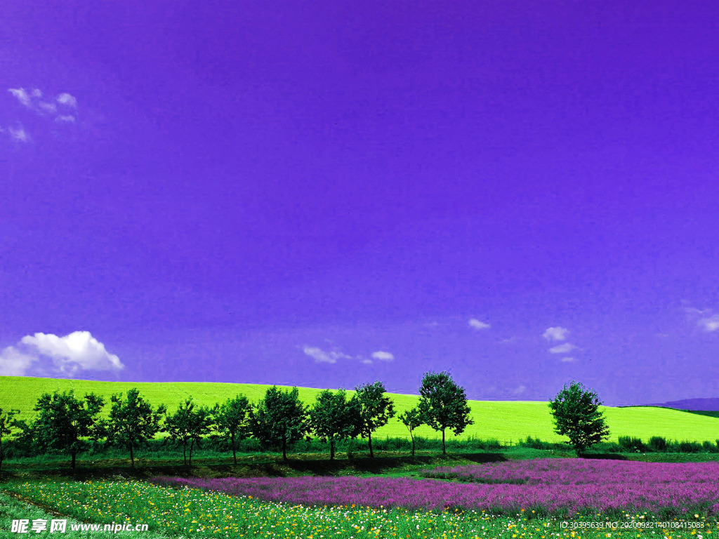 风景