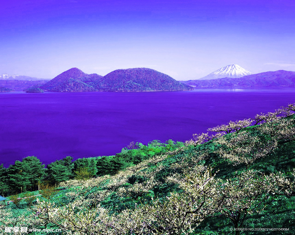 风景