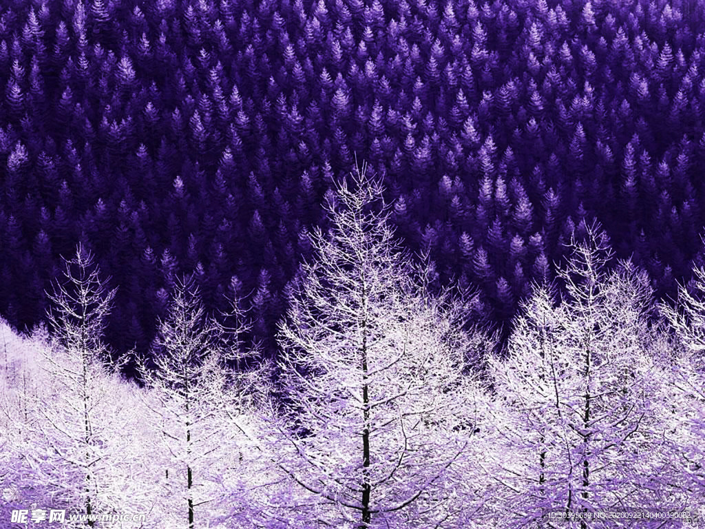 风景