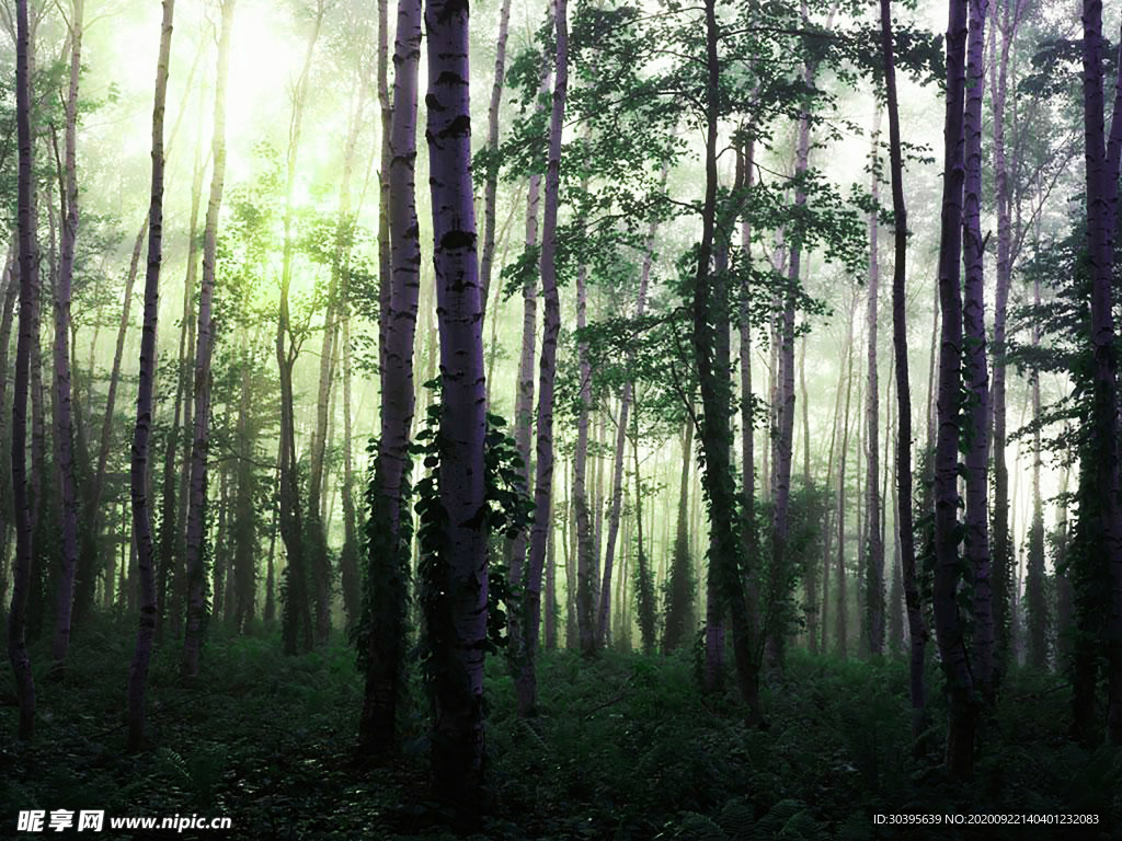 风景